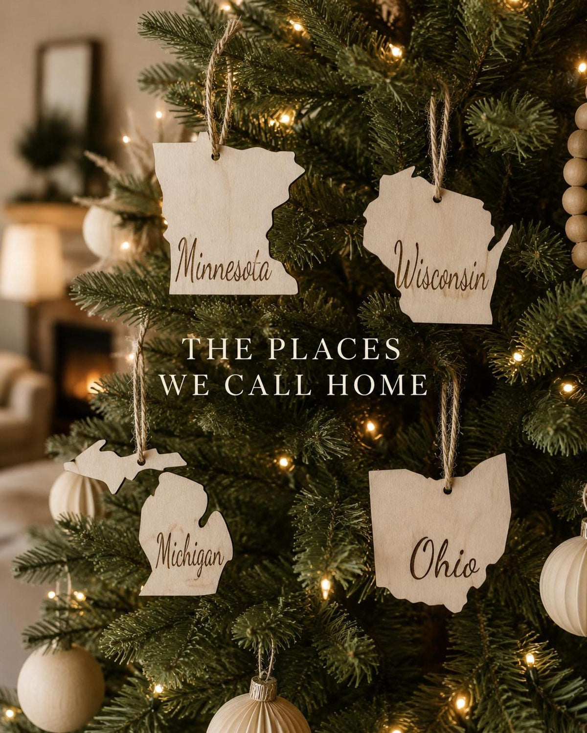 Set of wooden state Christmas ornaments