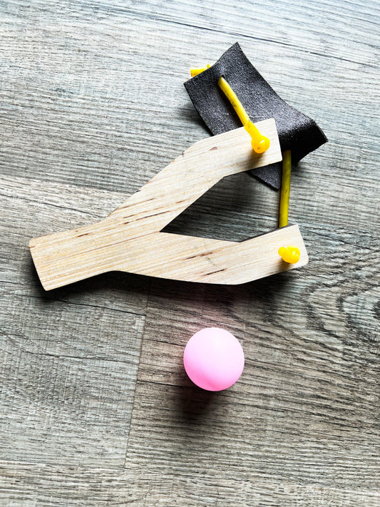 Play Slingshot Toy for Kids - A Vision to Remember