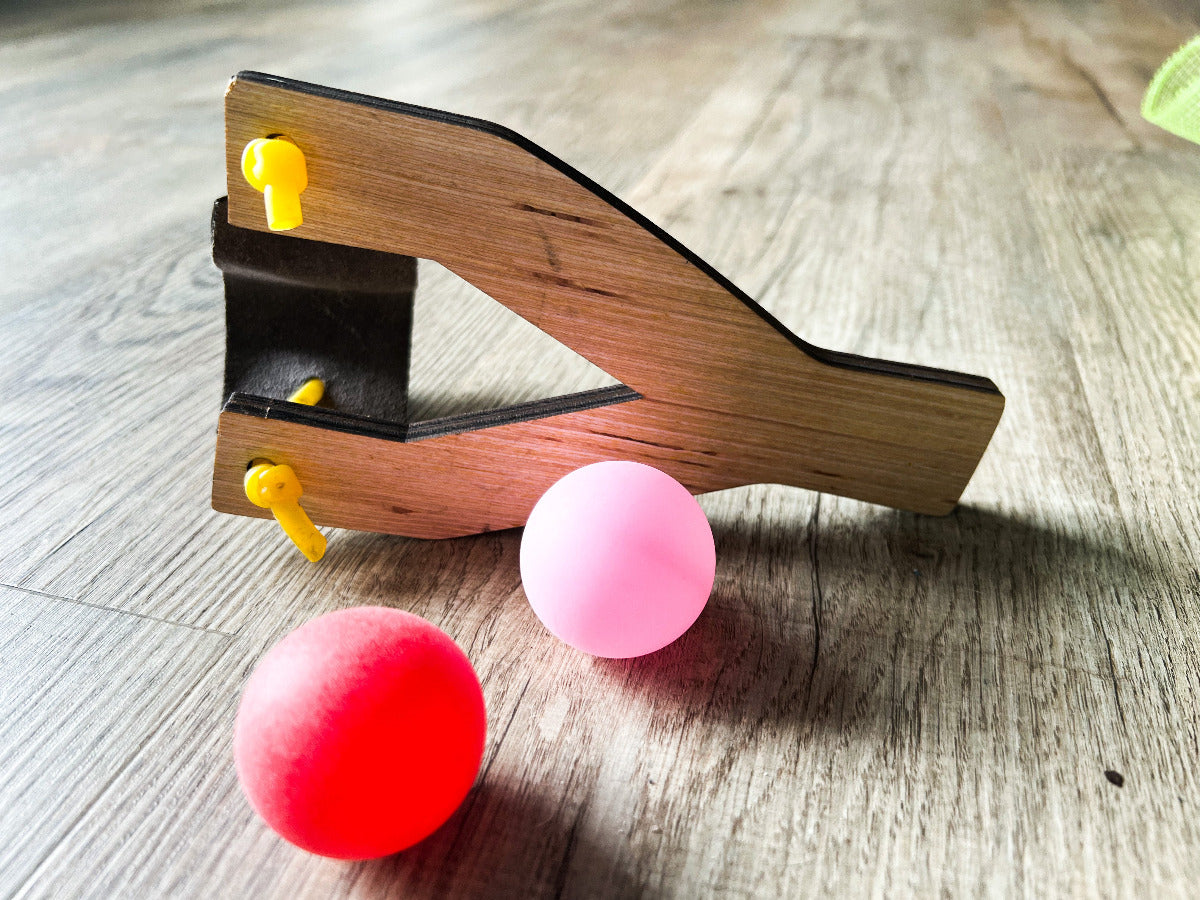 Play Slingshot Toy for Kids - A Vision to Remember
