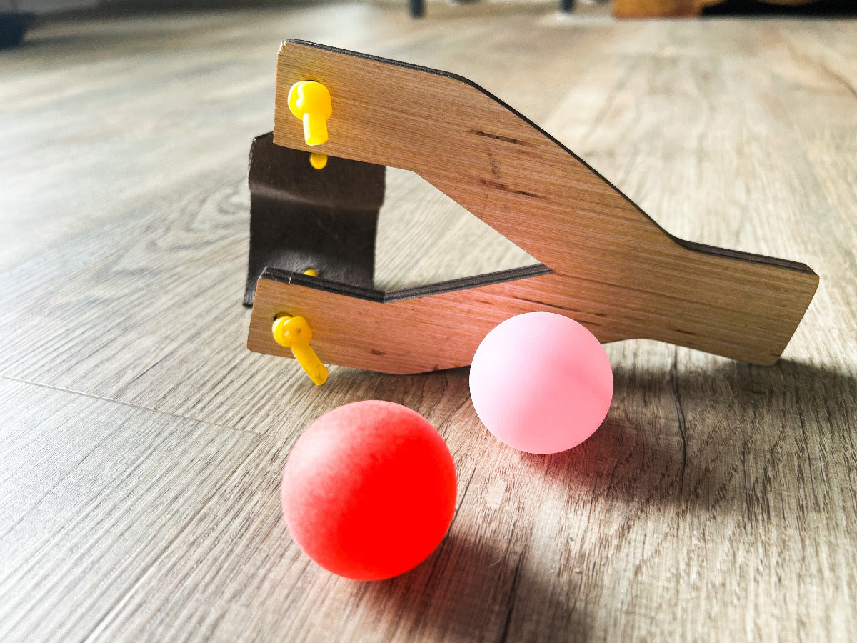 Play Slingshot Toy for Kids - A Vision to Remember