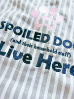 Waterproof Gray Striped Apron with optional Custom Embroidery - A Vision to Remember