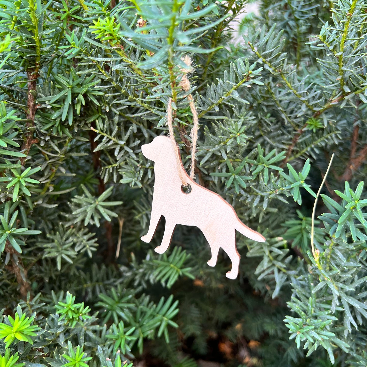 Dog Christmas Ornament - A Vision to Remember